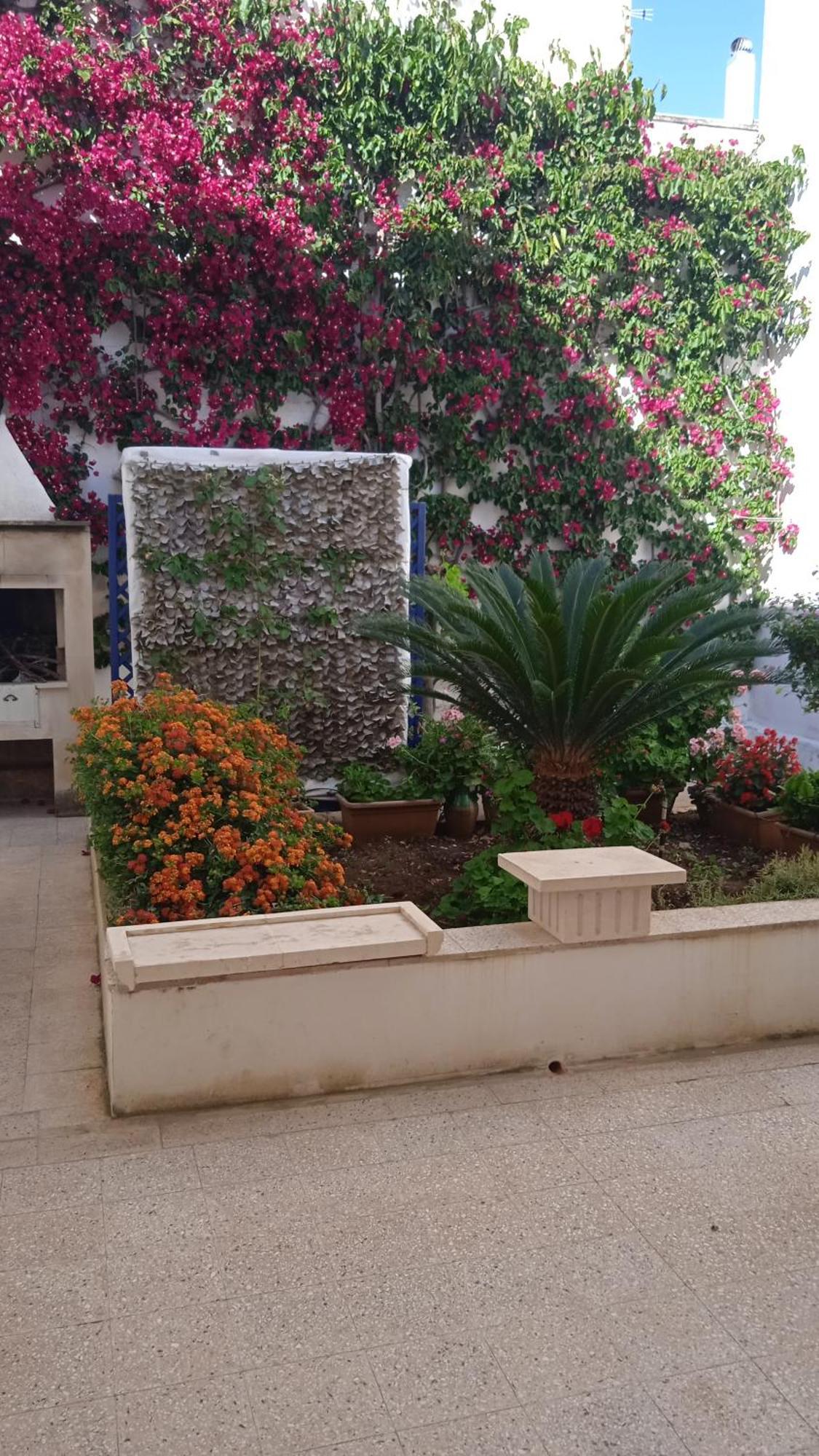 Casa A 30 M Dal Mare Villa Sant Isidoro  Ngoại thất bức ảnh